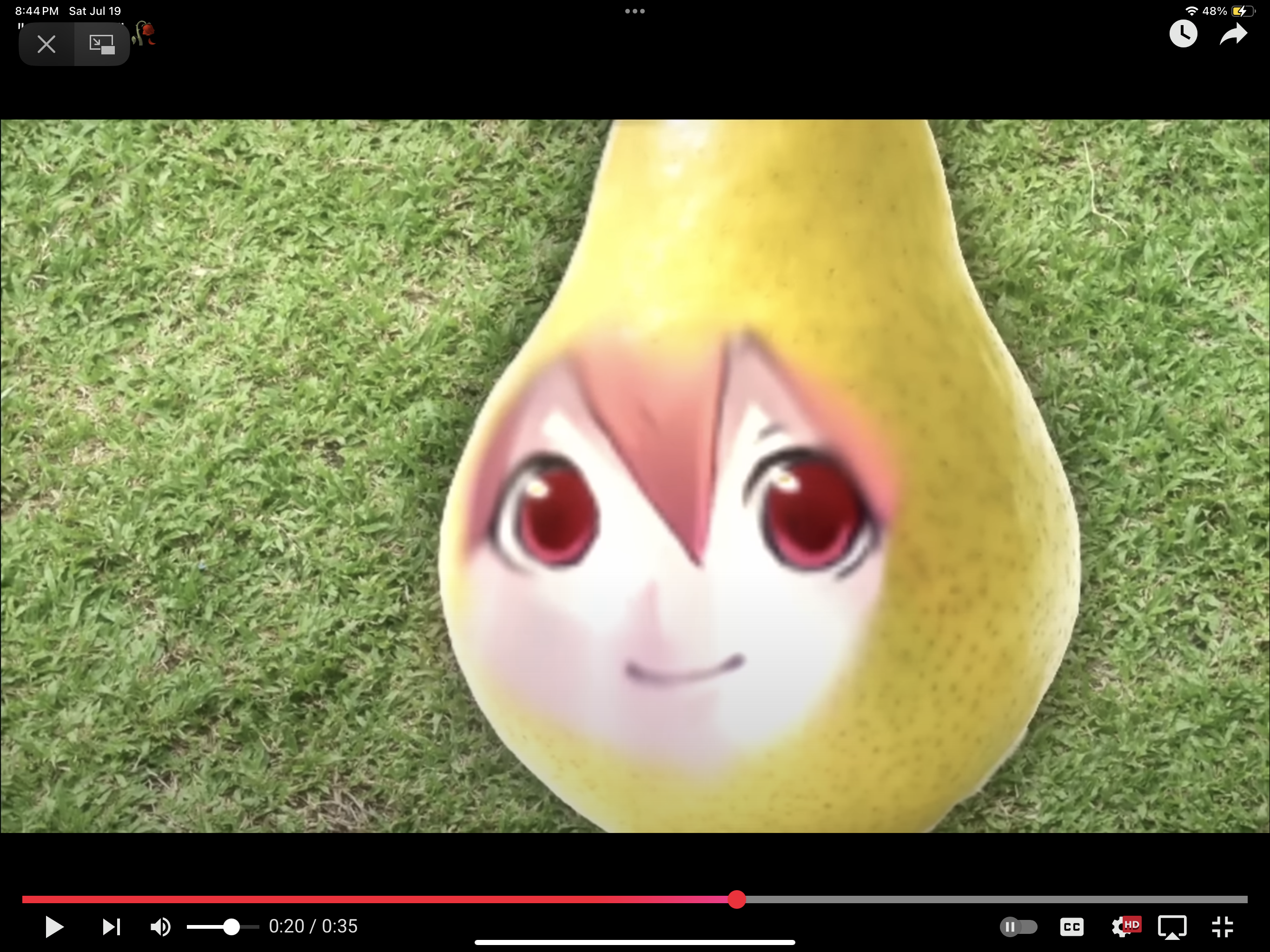 IMG_0622.png